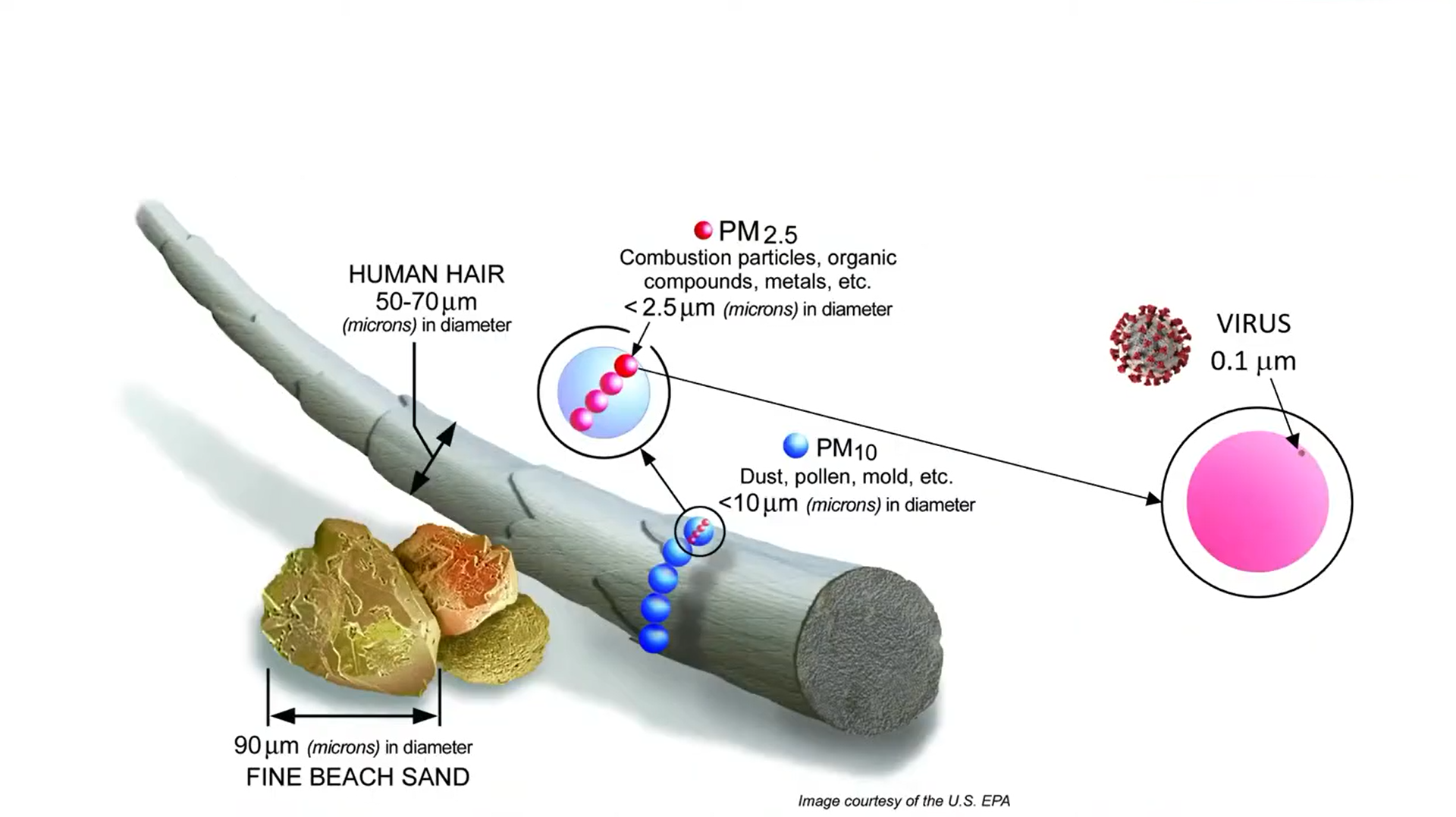 illustratie van het formaat van het virus